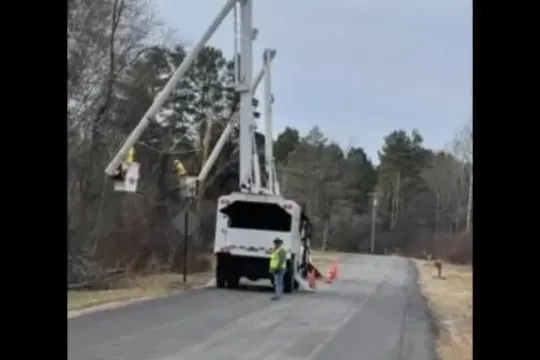 united-tree-service-llc-2026-01-12T155918.851063Z-12525-scaled
