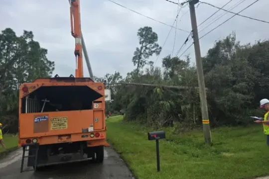united-tree-service-llc-2026-01-12T155921.235721Z-29953-scaled