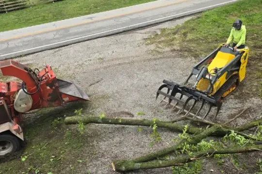 united-tree-service-llc-2026-01-12T155935.552362Z-55239