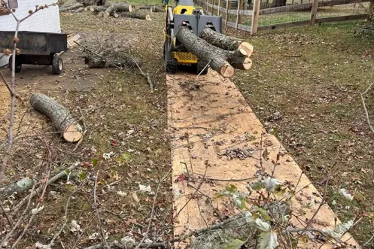 united-tree-service-llc-2026-01-12T160029.955534Z-56166