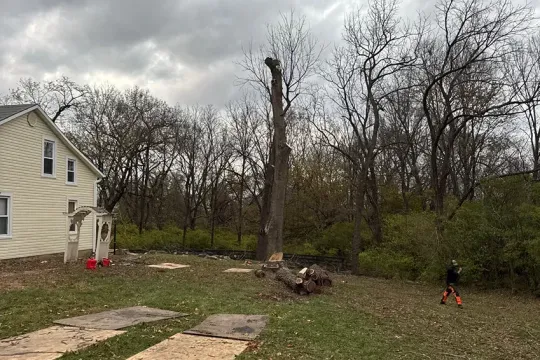 united-tree-service-llc-2026-01-12T160828.892321Z-24421