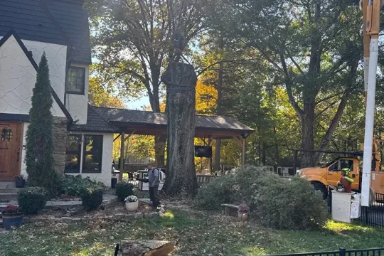 united-tree-service-llc-2026-01-12T160829.106426Z-74789