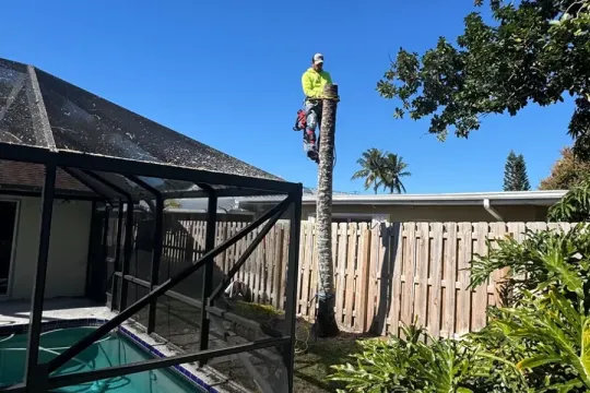 united-tree-service-llc-2026-01-12T160844.628080Z-52179