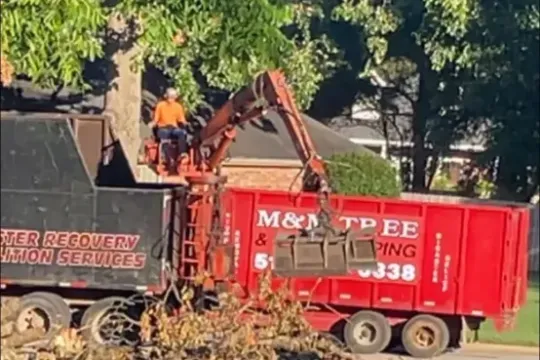 united-tree-service-llc-2026-01-12T170910.382050Z-61744-scaled