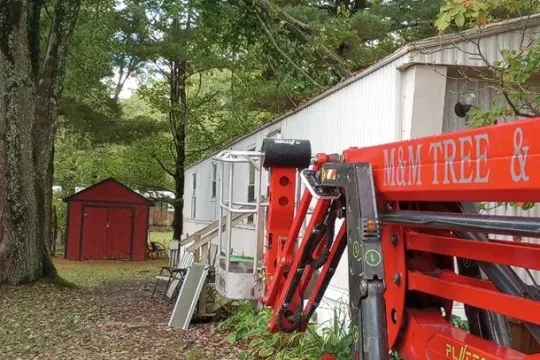 united-tree-service-llc-2026-01-12T170910.395616Z-6897