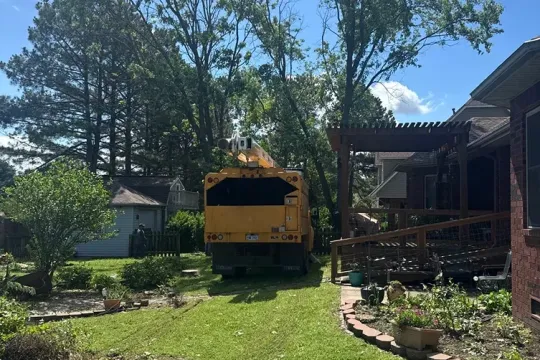 united-tree-service-llc-2026-01-12T170922.939103Z-32833