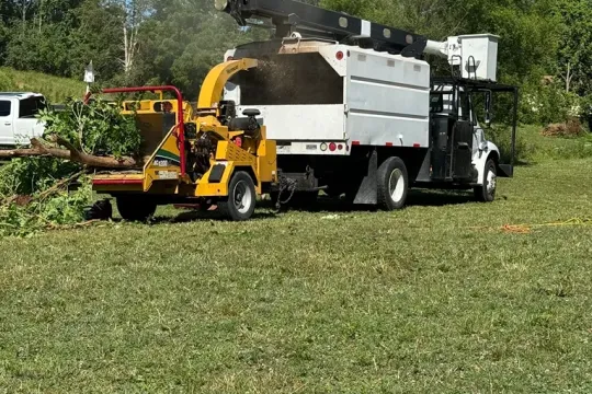 united-tree-service-llc-2026-01-12T171025.971445Z-35110
