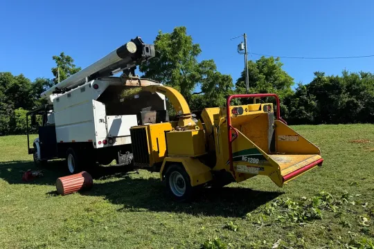 united-tree-service-llc-2026-01-12T171030.123883Z-38045