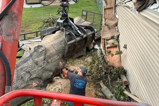 united-tree-service-llc-2026-01-12T171040.563830Z-995