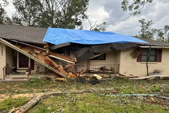 united-tree-service-llc-2026-01-12T171249.165271Z-29303