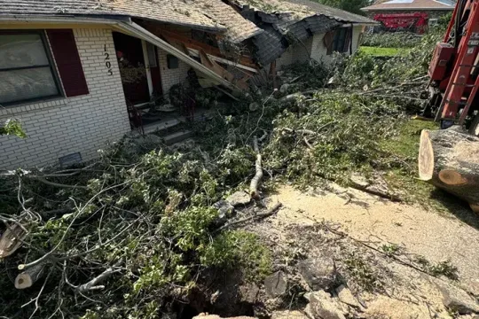 united-tree-service-llc-2026-01-12T171250.733553Z-51762