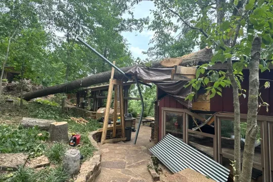 united-tree-service-llc-2026-01-12T171251.367897Z-75423