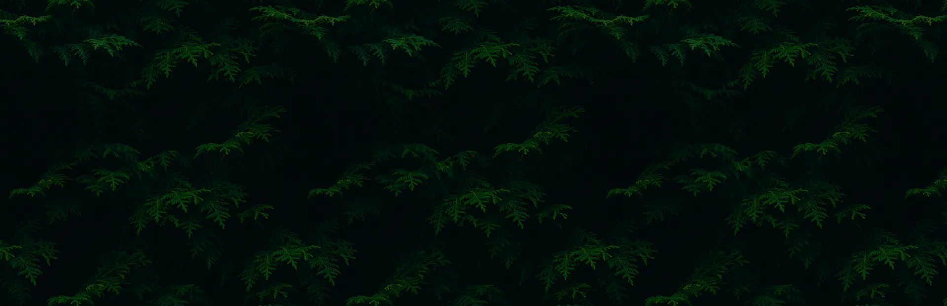 General breadcrumb hero