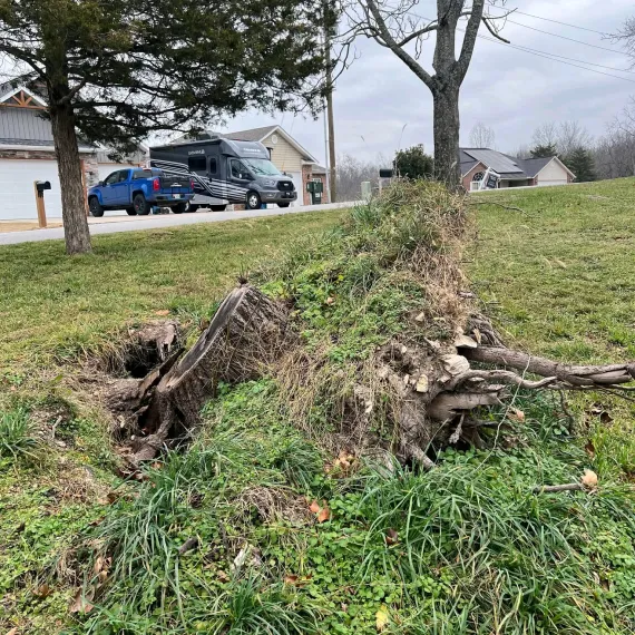 Land Clearing, Landscaping & Demolition